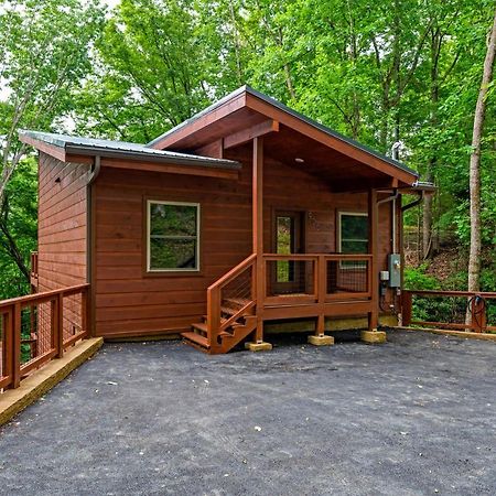 New Cozy Mountain Cabin Hot Tub Near Downtown Gatlinburg Exteriér fotografie